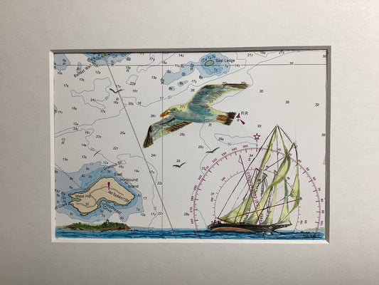 Seagull & Sail