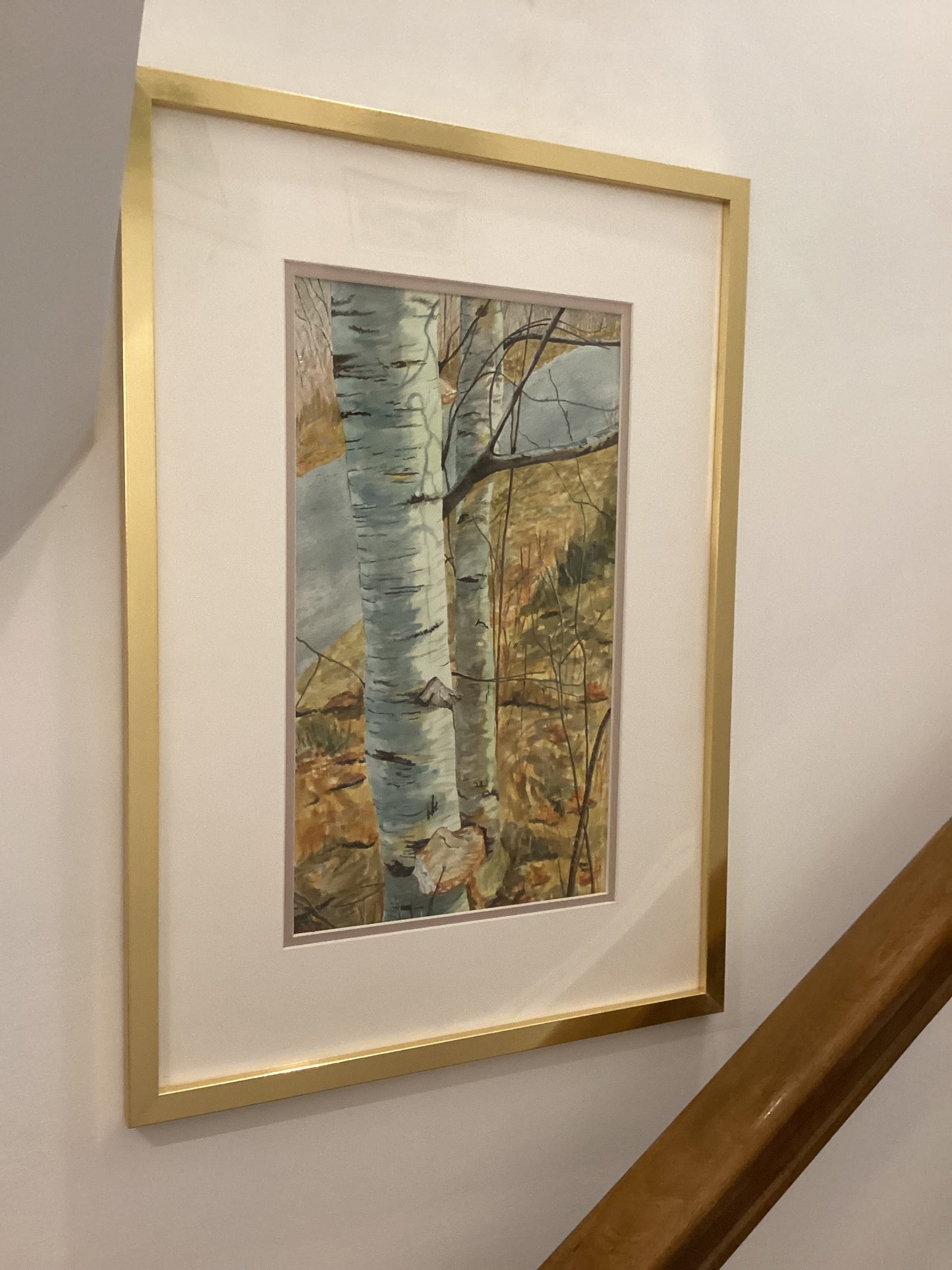 The Birches