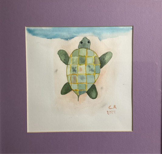 Baby Turtle
