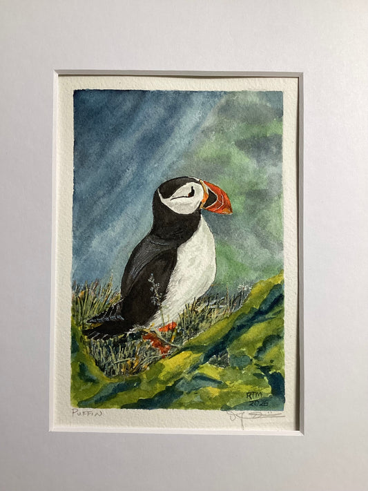 Puffin
