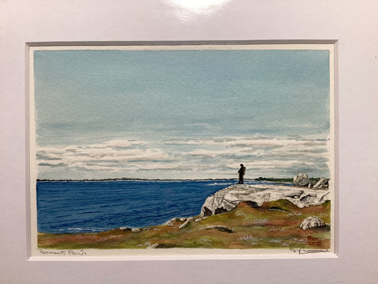 Pennant Point